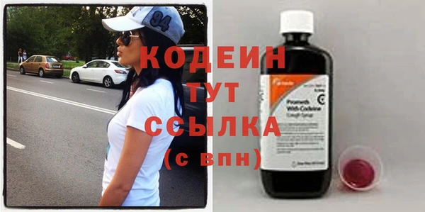 трава Инта