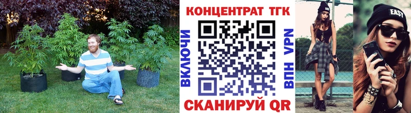 Купить закладки  Заинск  ТГК вейп с тгк 